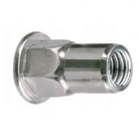 Рекомендуем купить Заклепка М10x22 полушестигранная с внутренней резьбой и цилиндрическим бортом, оц. сталь