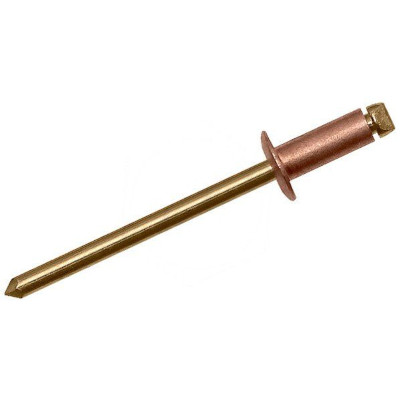Рекомендуем купить Заклепка вытяжная открытая 3.2x12 со стандартным бортом, медь / бронза
