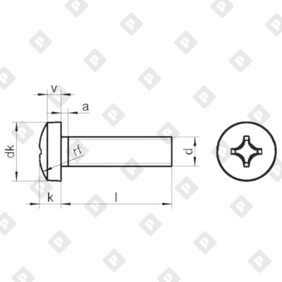 Винт DIN 7985 M5x30 с полуцилиндрической головкой и крестовым шлицем PH, кл. пр. 4.8, оц. сталь - №2